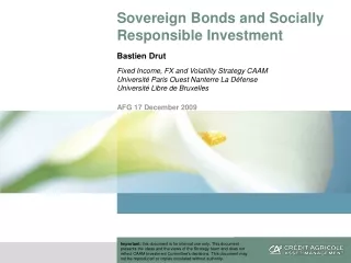 Sovereign Bonds and Socially Responsible Investment Bastien Drut