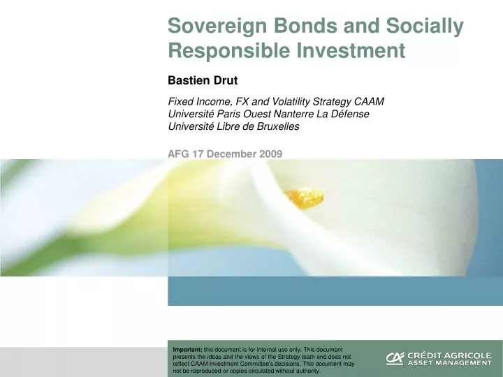 sovereign bonds and socially responsible