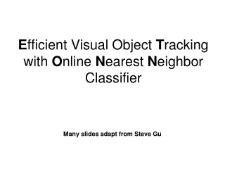 E fficient Visual Object  T racking with  O nline  N earest  N eighbor Classifier