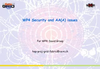 WP4 Security and AA(A) issues