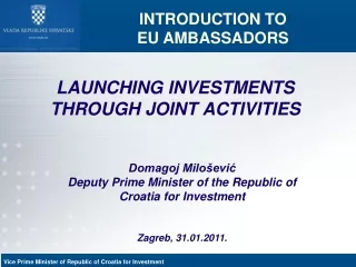 LAUNCHING INVESTMENTS THROUGH JOINT ACTIVITIES