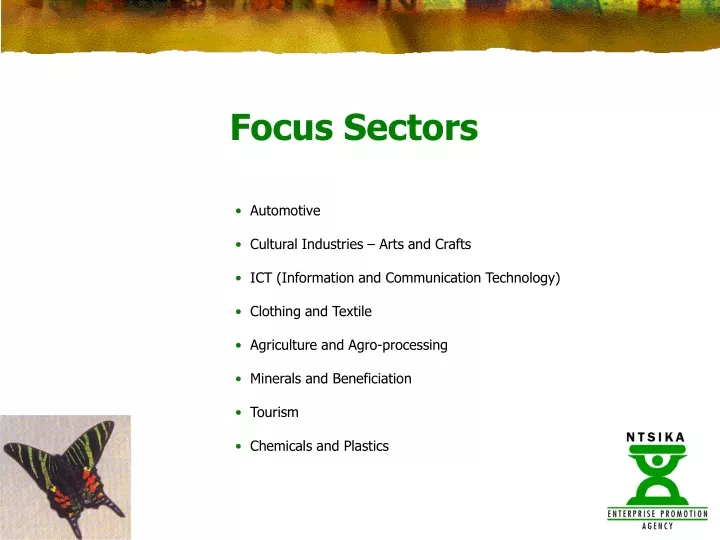 focus sectors