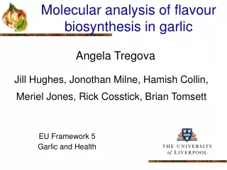 Molecular analysis of flavour biosynthesis in garlic
