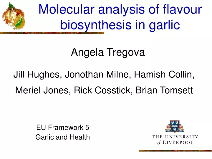 molecular analysis of flavour biosynthesis in garlic