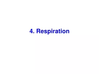 4. Respiration