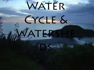 Water Cycle &amp; Watersheds