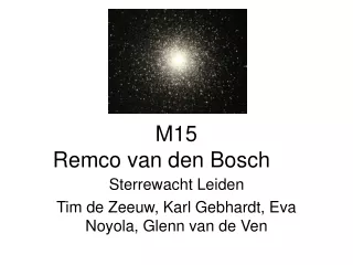 M15 Remco van den Bosch