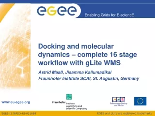 Docking and molecular dynamics – complete 16 stage workflow with gLite WMS