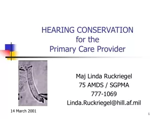 HEARING CONSERVATION  for the Primary Care Provider