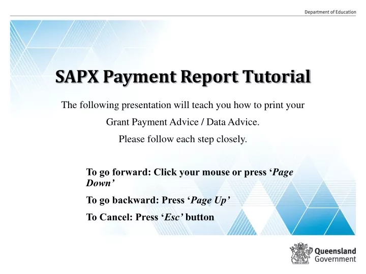 sapx payment report tutorial