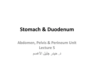 Stomach &amp; Duodenum