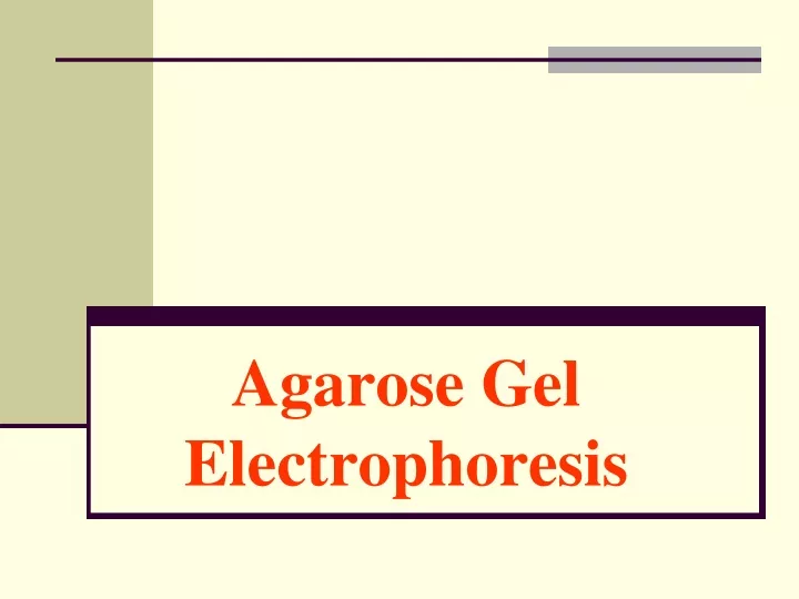 agarose gel electrophoresis