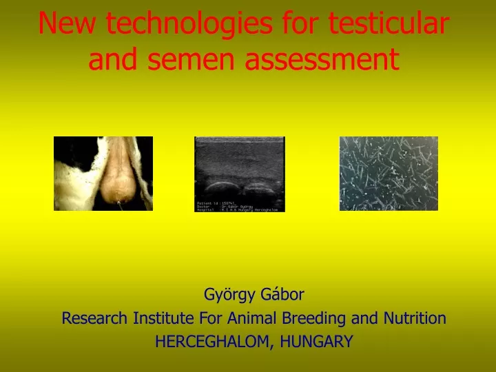 new technologies for testicular and semen assessment