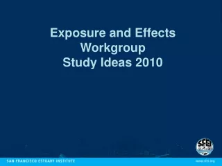 Exposure and Effects Workgroup Study Ideas 2010