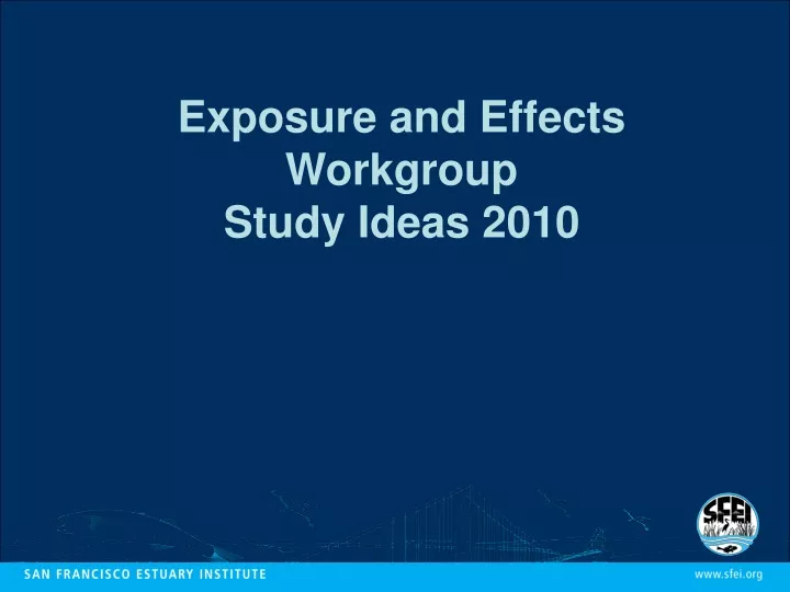 exposure and effects workgroup study ideas 2010