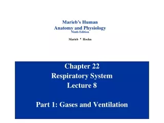 Chapter 22 Respiratory System Lecture 8 Part 1: Gases and Ventilation
