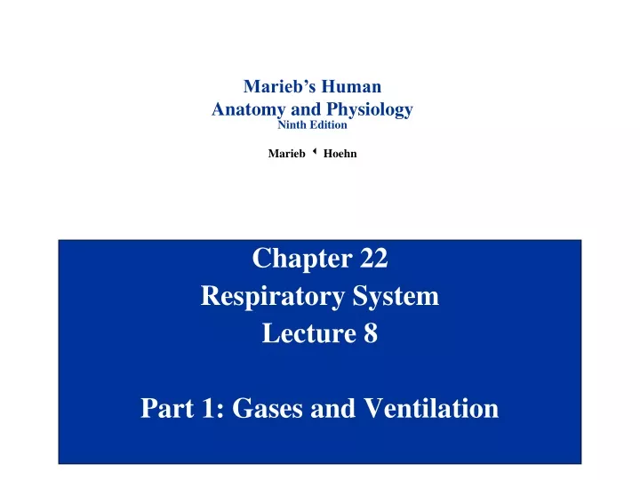 chapter 22 respiratory system lecture 8 part 1 gases and ventilation