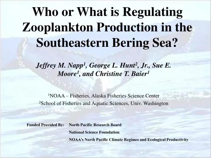 who or what is regulating zooplankton production in the southeastern bering sea