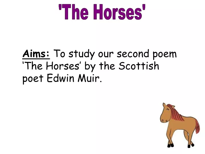 the horses