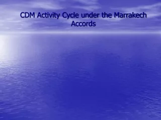 CDM Activity Cycle under the Marrakech Accords