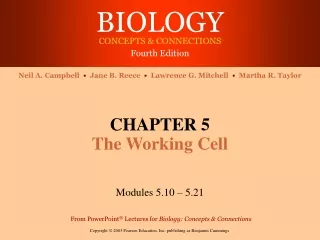 CHAPTER 5 The Working Cell