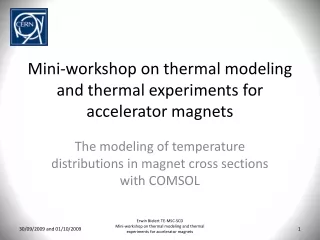 Mini-workshop on thermal modeling and thermal experiments for accelerator magnets