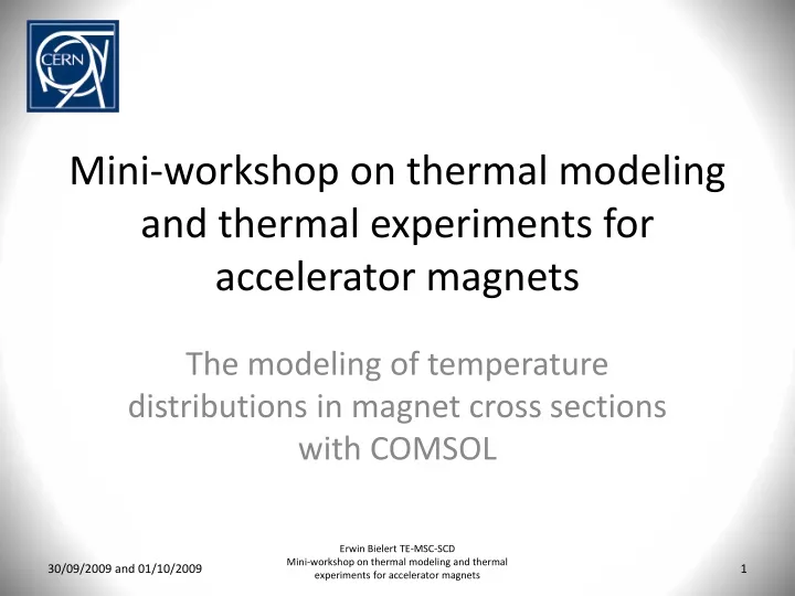 mini workshop on thermal modeling and thermal experiments for accelerator magnets