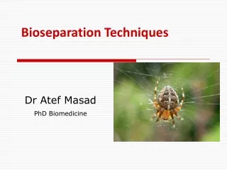 Dr Atef Masad PhD Biomedicine