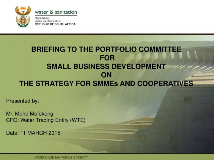 briefing to the portfolio committee for small