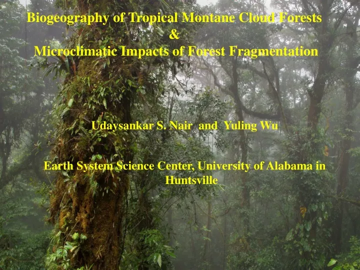 biogeography of tropical montane cloud forests microclimatic impacts of forest fragmentation