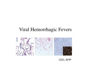 Viral Hemorrhagic Fevers