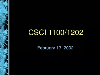 CSCI 1100/1202