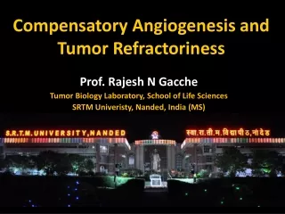 Compensatory Angiogenesis and Tumor Refractoriness