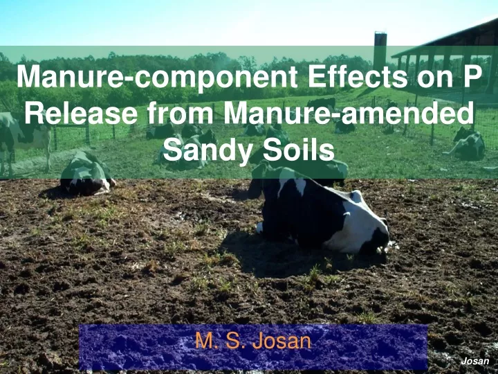 manure component effects on p release from manure amended sandy soils