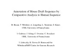 Annotation of Mouse Draft Sequence by Comparative Analysis to Human Sequence - slide 1