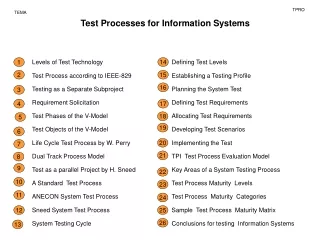 Test  Process es  for  Information S ystems