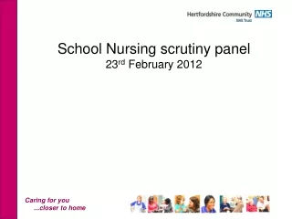 School Nursing scrutiny panel  23 rd  February 2012