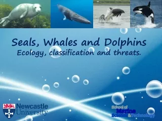 Seals, Whales and Dolphins Ecology, classification and threats.