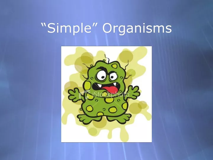 simple organisms