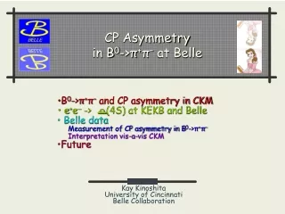 CP Asymmetry in B 0 -&gt;π + π –  at Belle