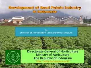 Development of Seed Potato Industry  in Indonesia