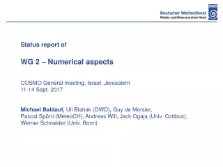 Status report of  WG 2 – Numerical aspects COSMO General meeting, Israel, Jerusalem
