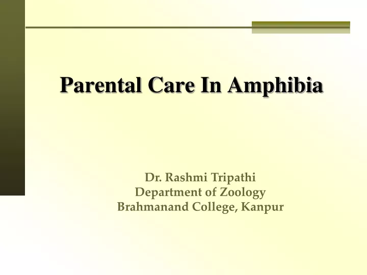 parental care in amphibia