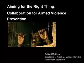 Aiming for the Right Thing:  Collaboration for Armed Violence Prevention