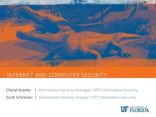 Internet and Computer security