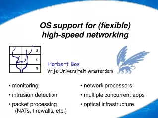 OS support for (flexible) high-speed networking