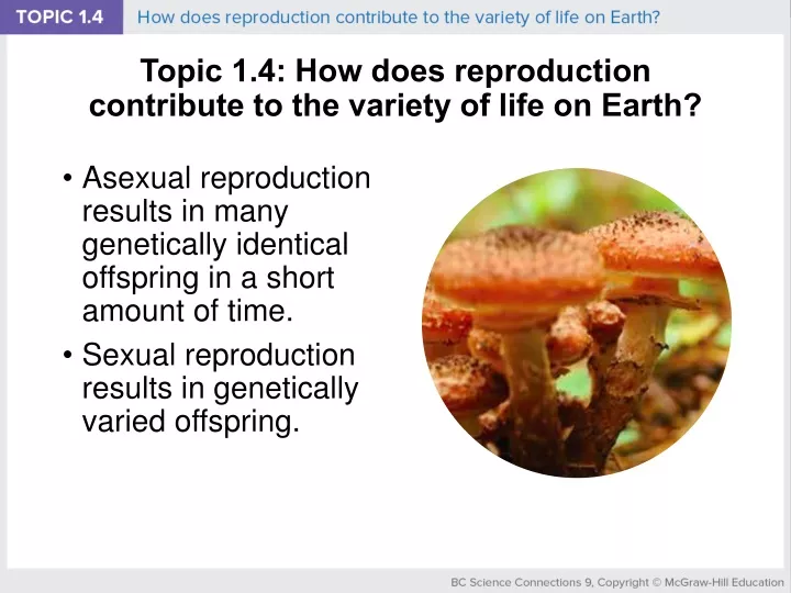 topic 1 4 how does reproduction contribute to the variety of life on earth