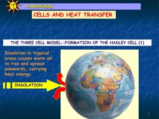 THE THREE CELL MODEL;-FORMATION OF THE HADLEY CELL (1)