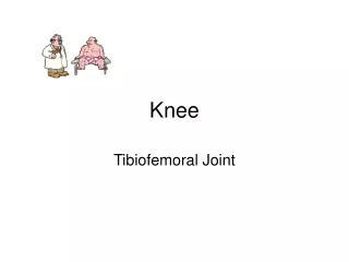 Knee
