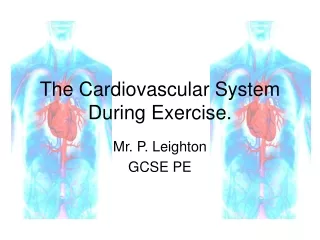The Cardiovascular System During Exercise.
